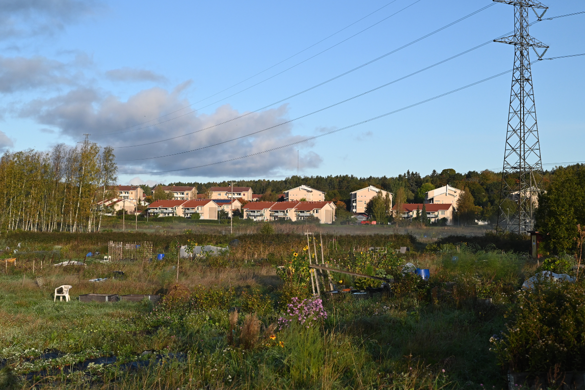 nature-based solution in the city