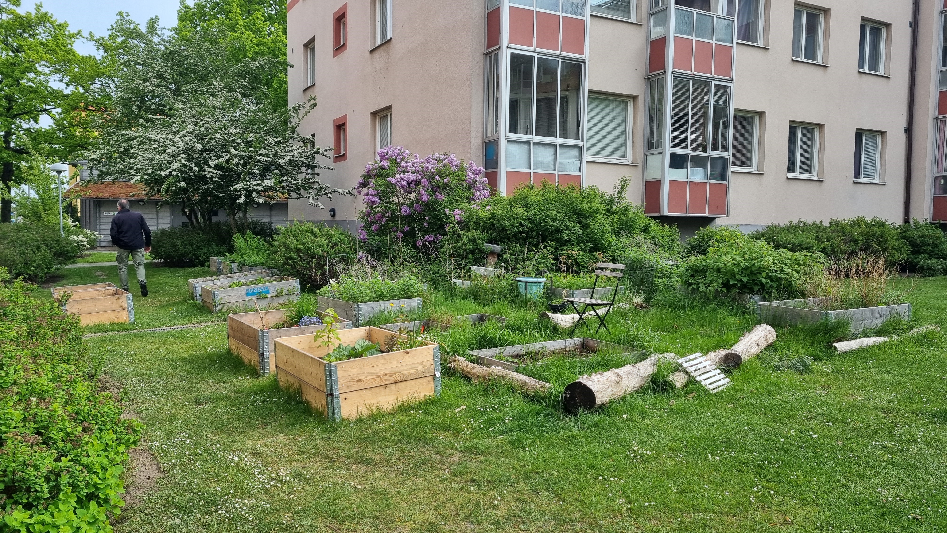 Community garden flourish and new micro-forest are being developed by the Augustenborg’s property owner MKB. 