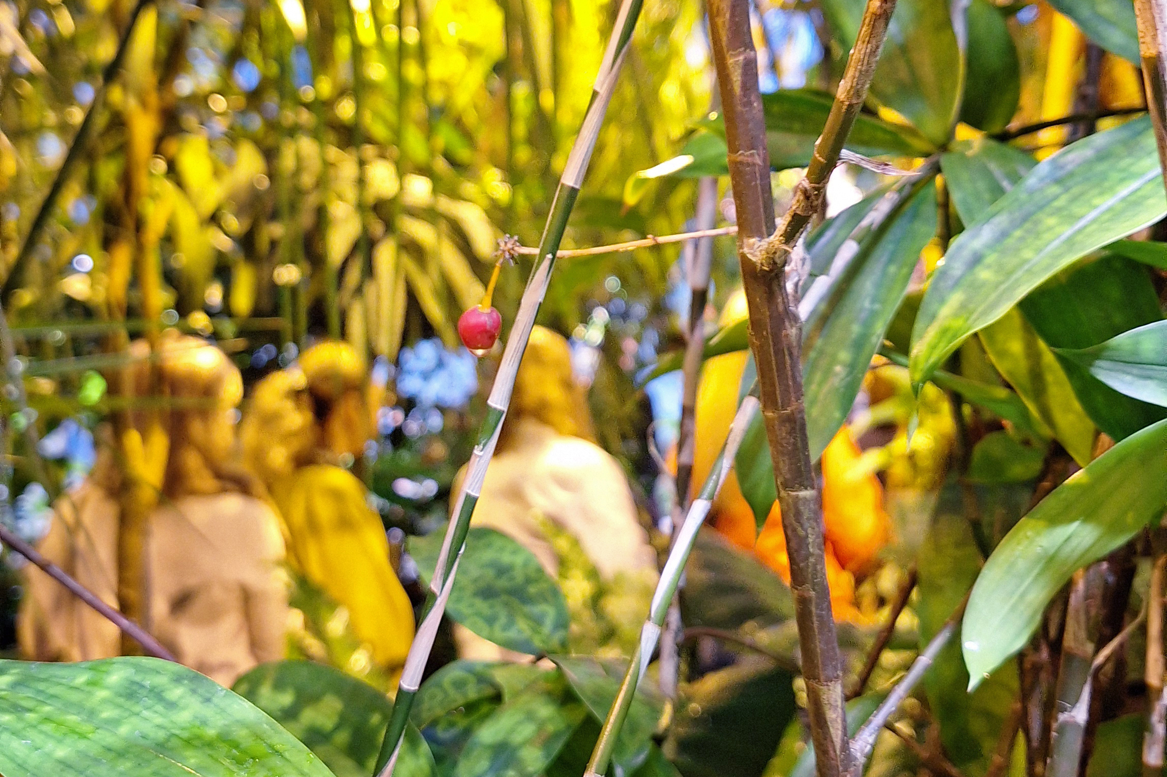 Circular economy experts visiting the botanical garden's greenhouse