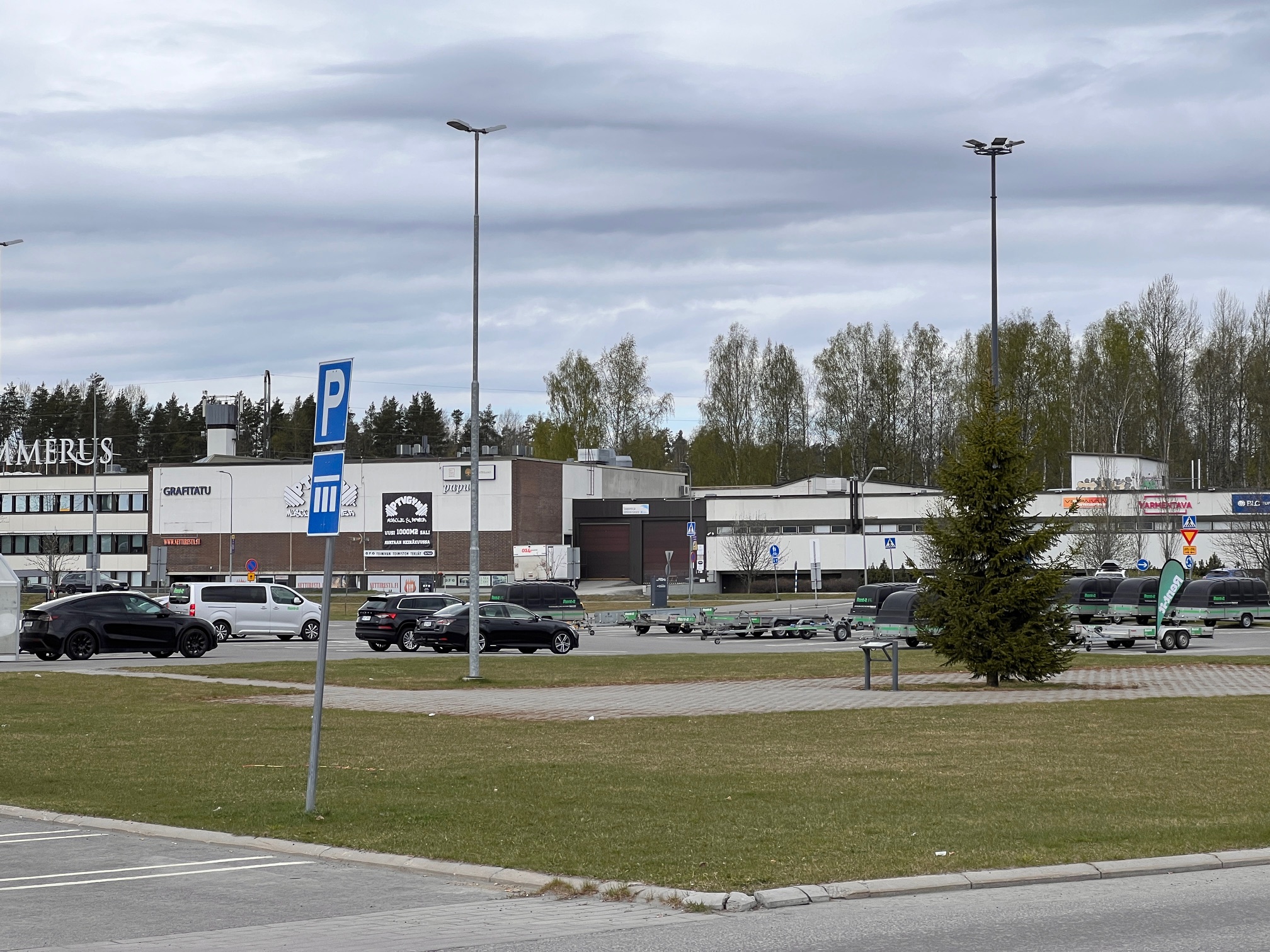 A small grassy green area with a single young spruce at the edge of a parking lot in Seppälä