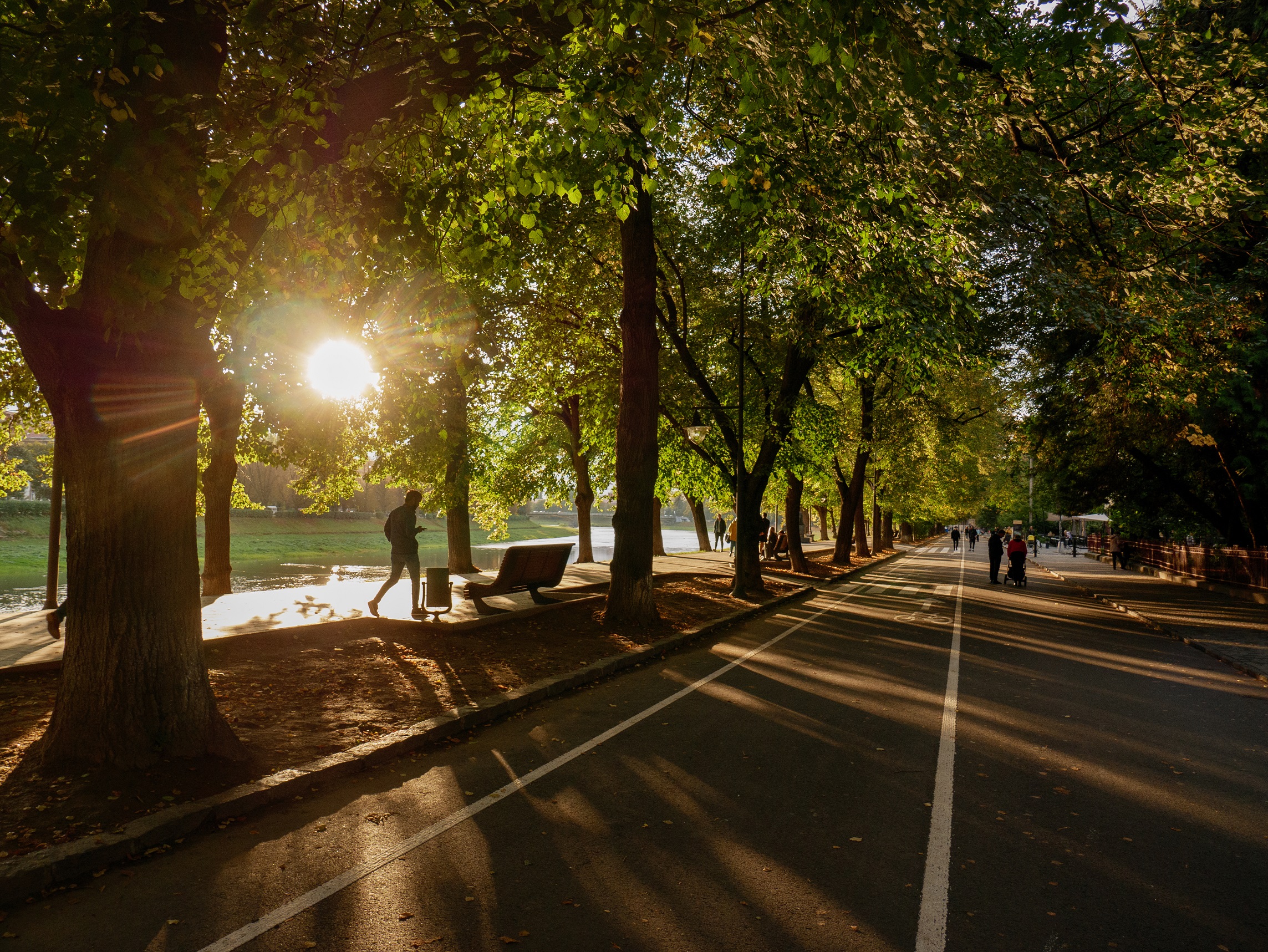 Urban landscape with greenery and bike lanes