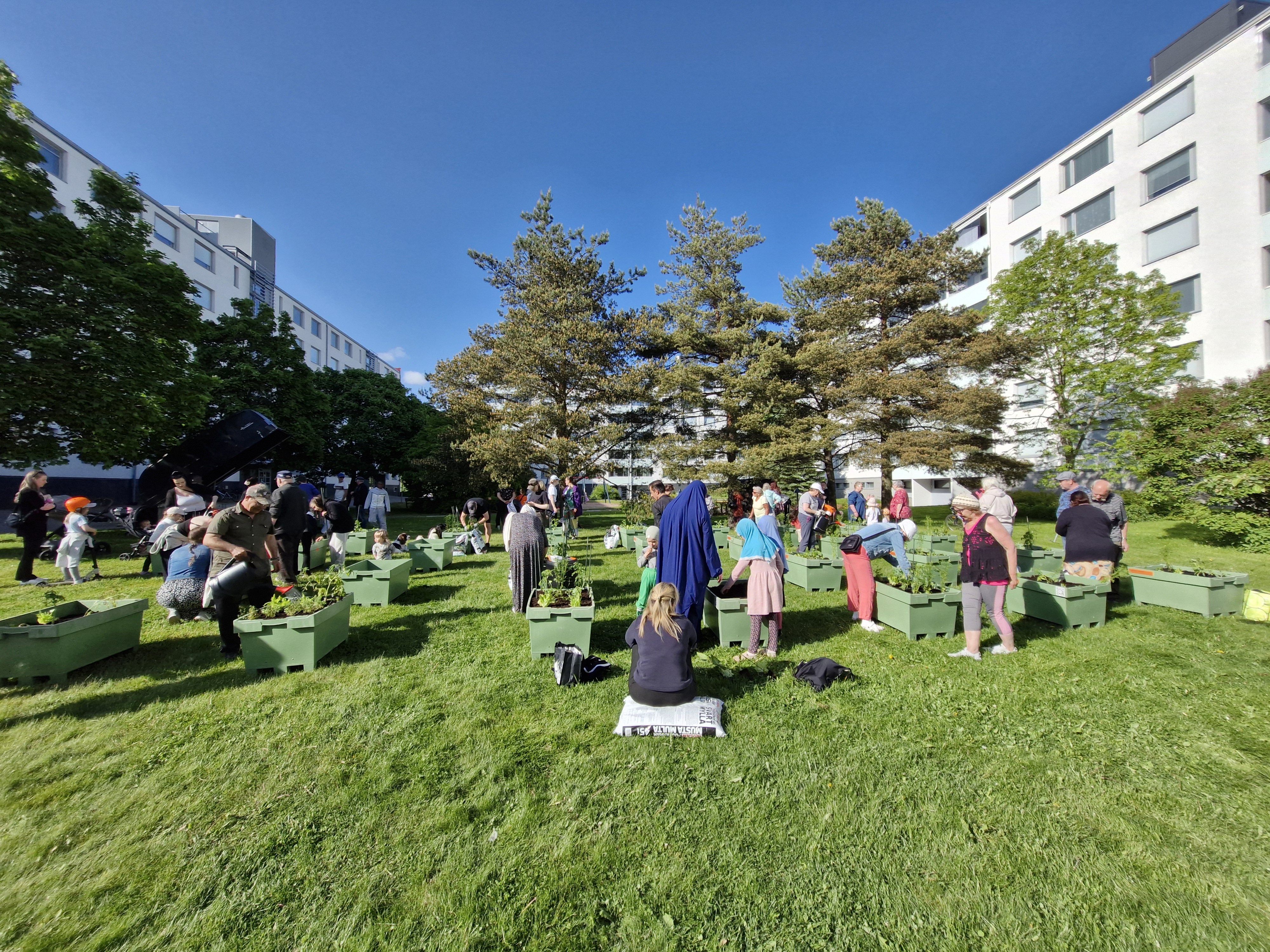 The urban community gardening pilot site in Jyrkkälä from summer 2025. Photo: Outi Linnonsuo