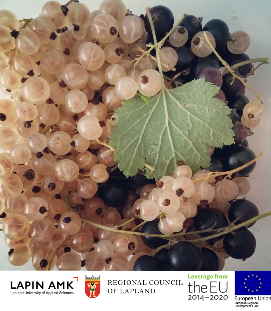 Berries