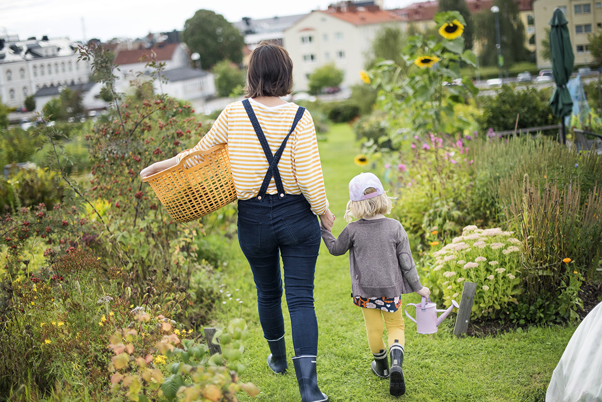 Urban farming in Växjö
