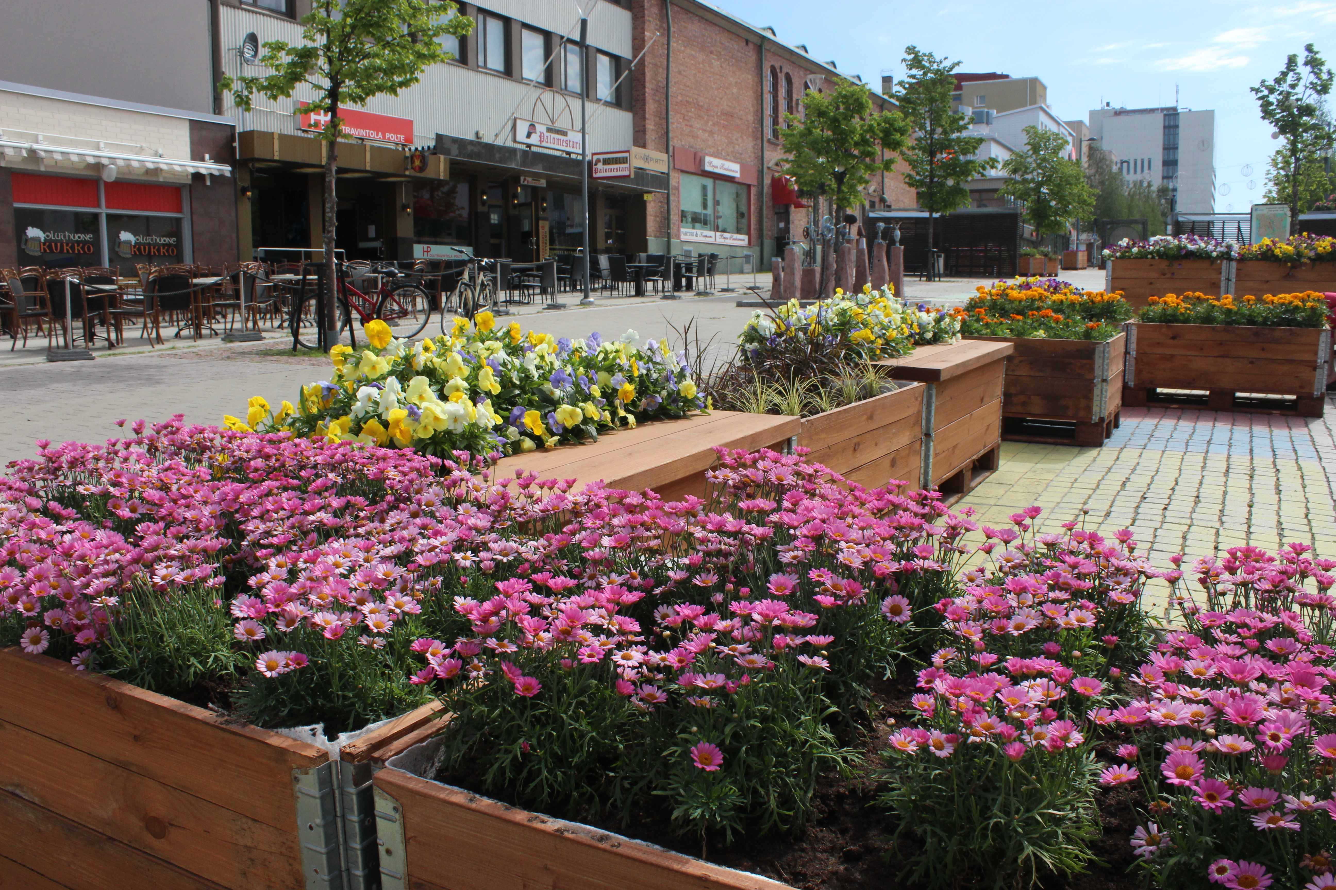 Urban farming in Växjö