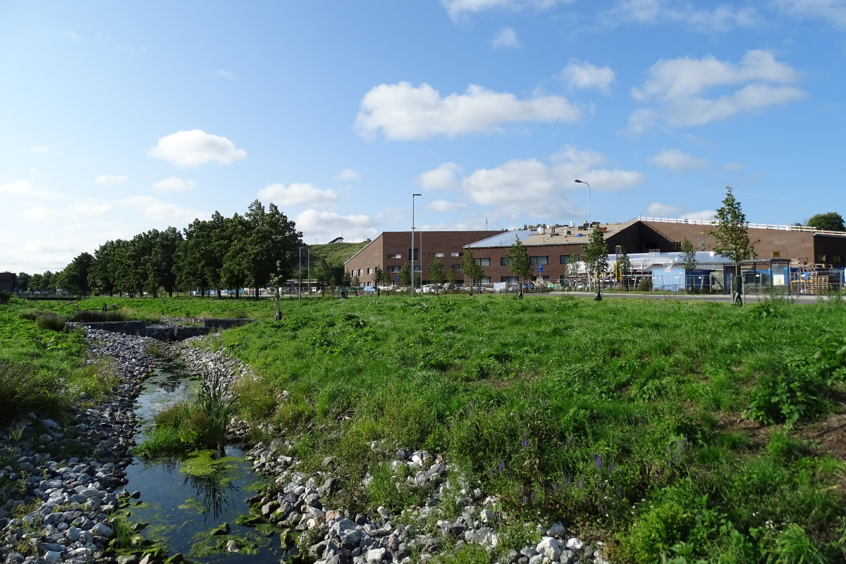 Nature-based solution in the city