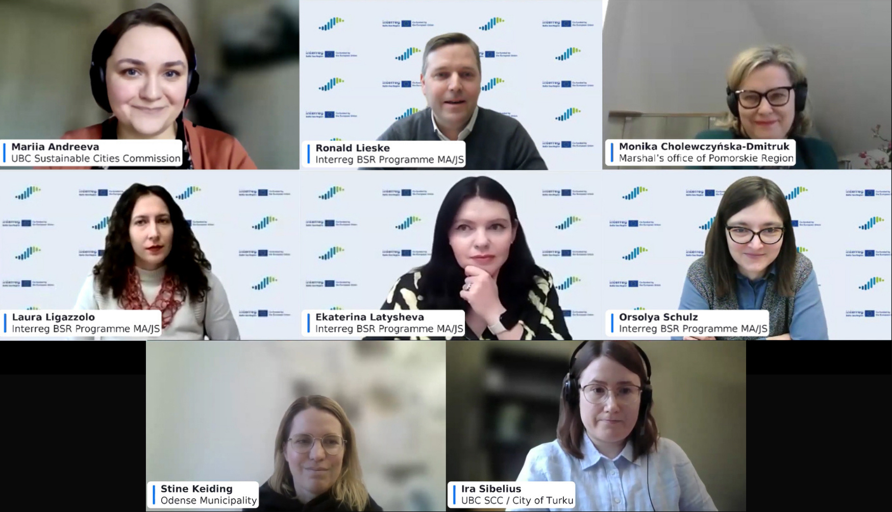 Screenshot of the webinar participants