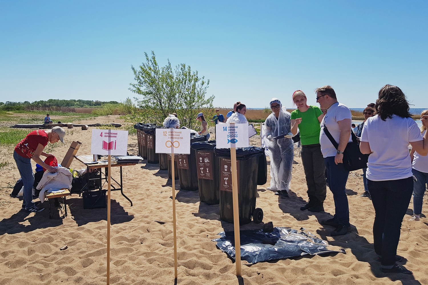 Clean Beach 2019