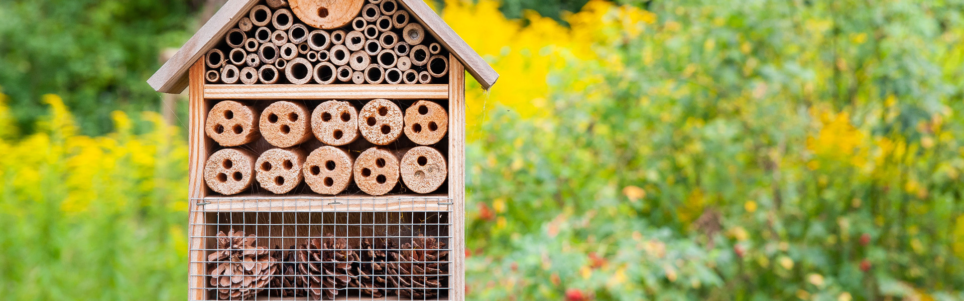 Insect house