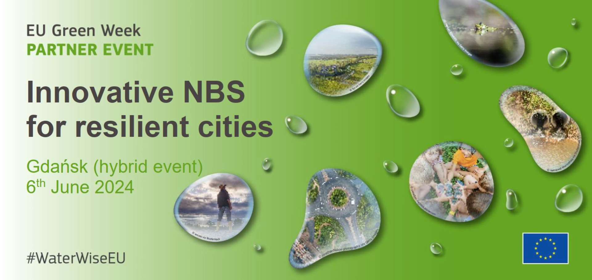 banner of the NBS event