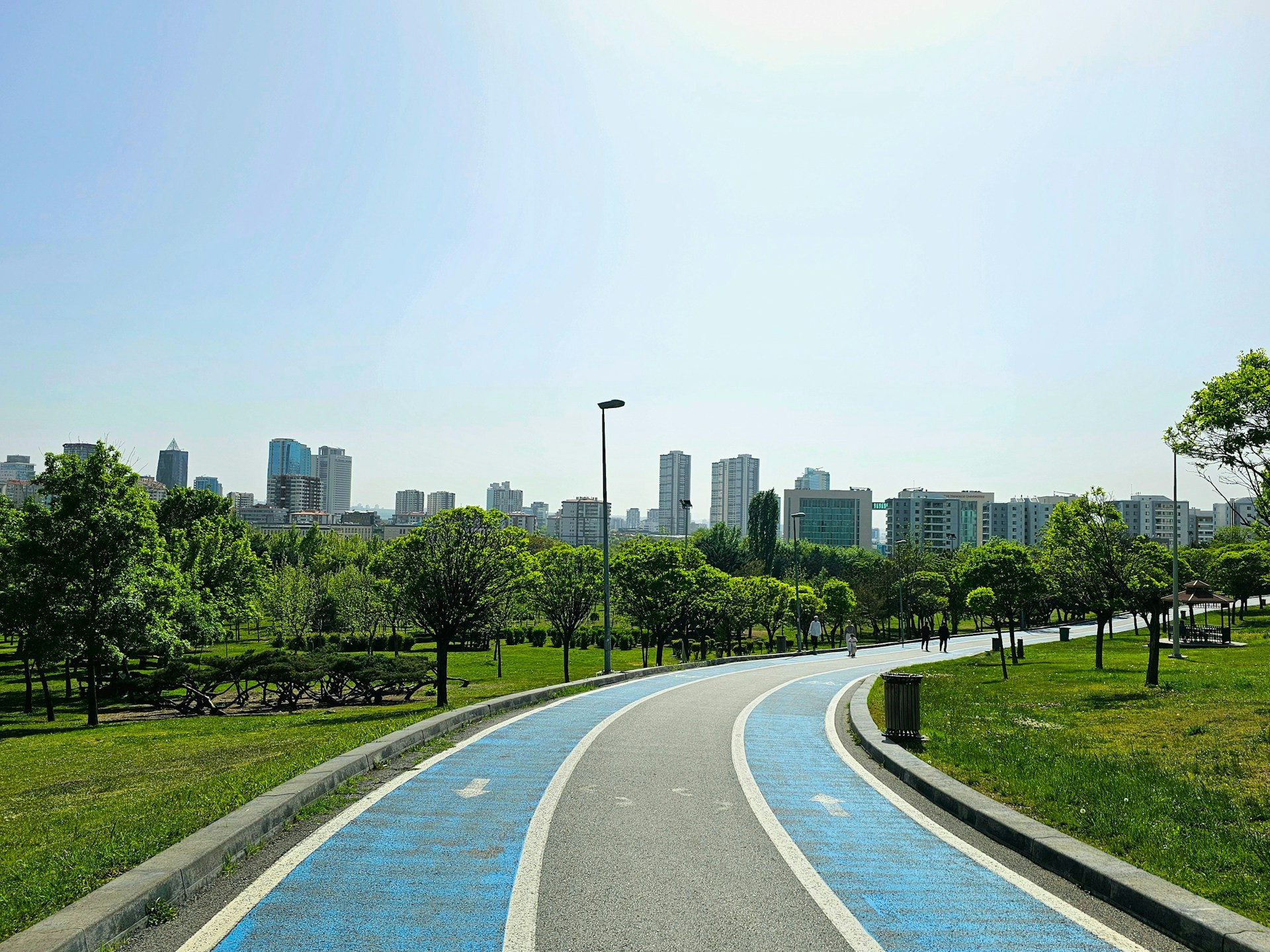 Bike lanes in the city park