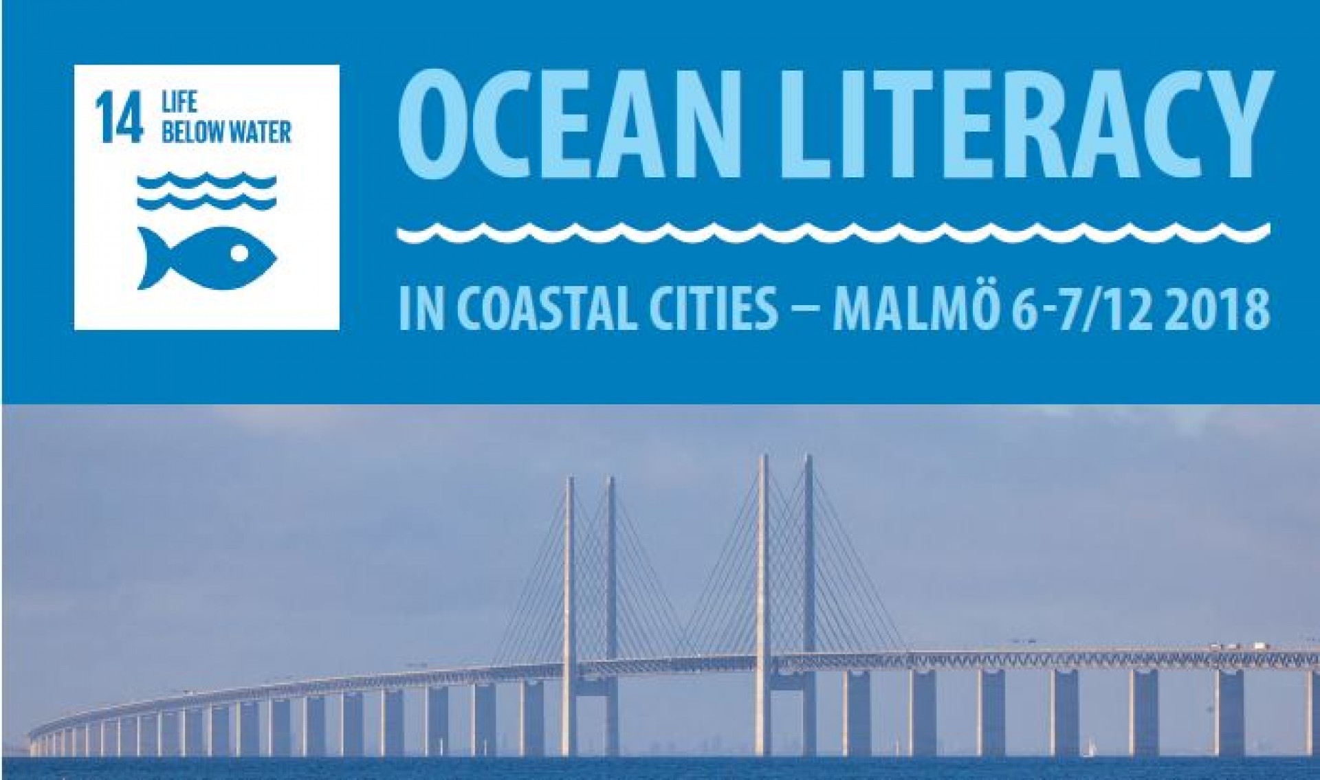 Ocean literacy banner