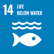 SDG 14 Life below water