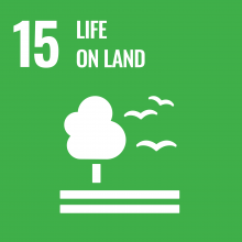 SDG 15 Life on land